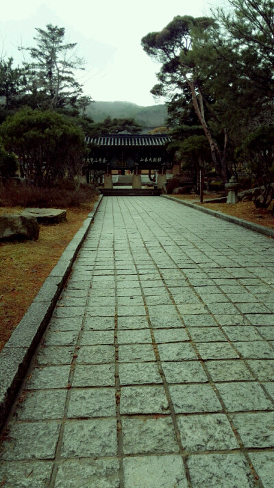 金井山 梵鱼寺 幽静深山中的灵验寺庙 远离都市喧嚣的静心之旅。