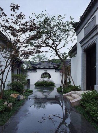 独院