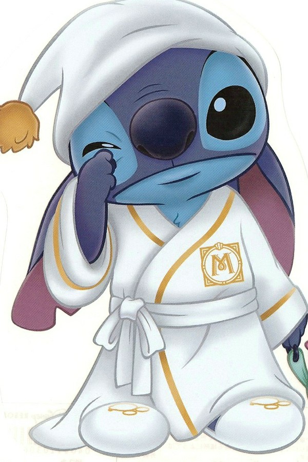 Stitch 史迪奇