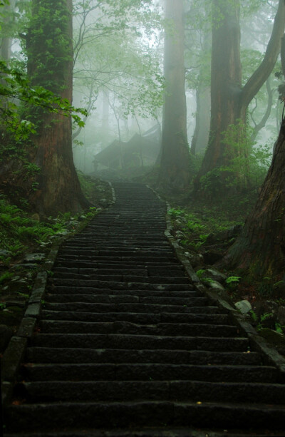 SA家 壁纸 素材 山路