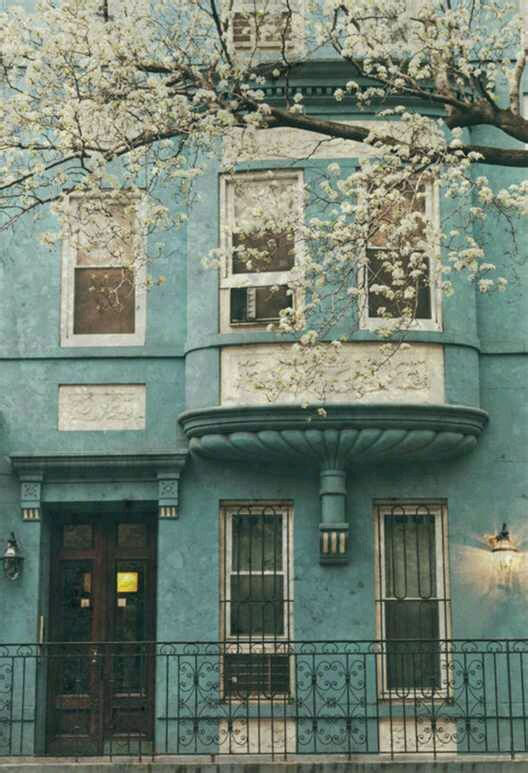 SA家 壁纸 素材 街旁 花 店