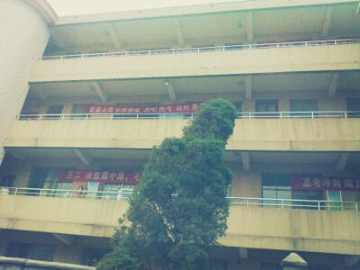 百日宣誓那天，我们举着条幅唱歌。各种励志歌，唱了好久，学校领导让停我们却还一直唱，仿佛歌声一停我们就要分道扬镳一样。