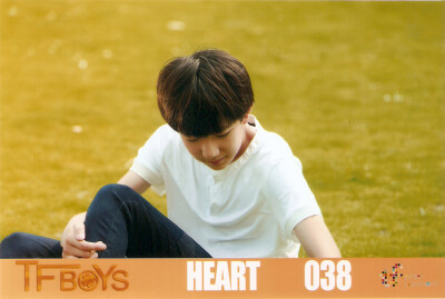 HEART038