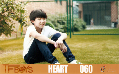 HEART060