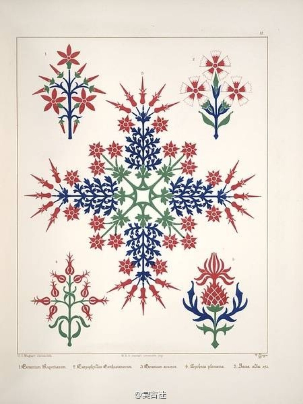 《a series of thirty-one designs》, 花卉图案装饰 a.