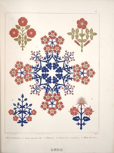 《A series of thirty-one designs》， 花卉图案装饰 A. Welby 绘制与1849年伦敦。