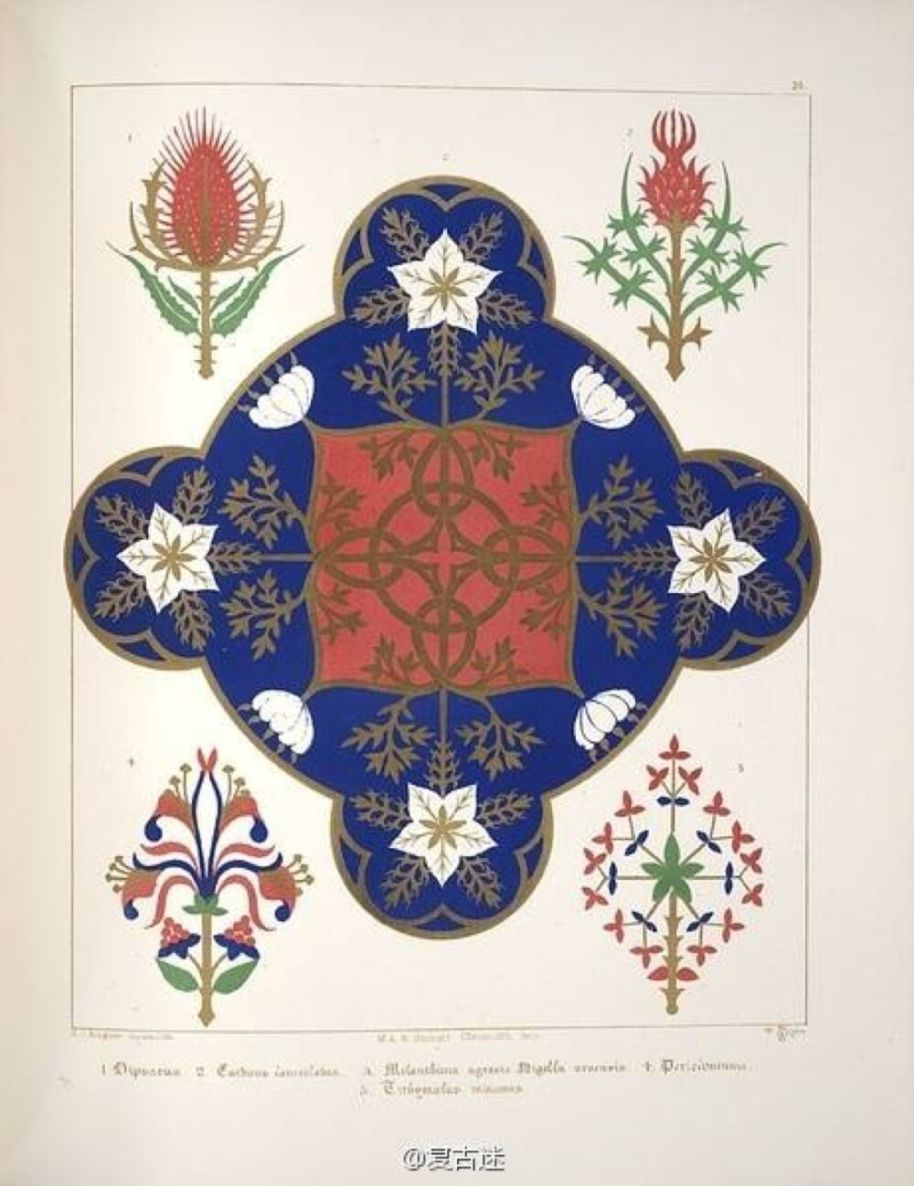 《a series of thirty-one designs》, 花卉图案装饰 a.