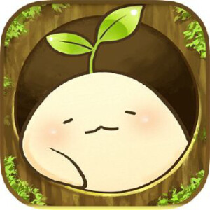 Mandora