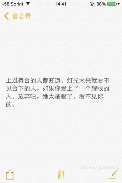 我们都曾不顾一切地追逐一个遥不可及的梦