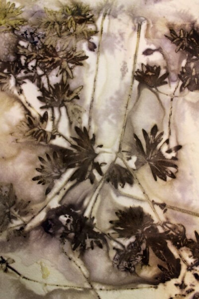 wendy feldberg... eco-printed textiles...