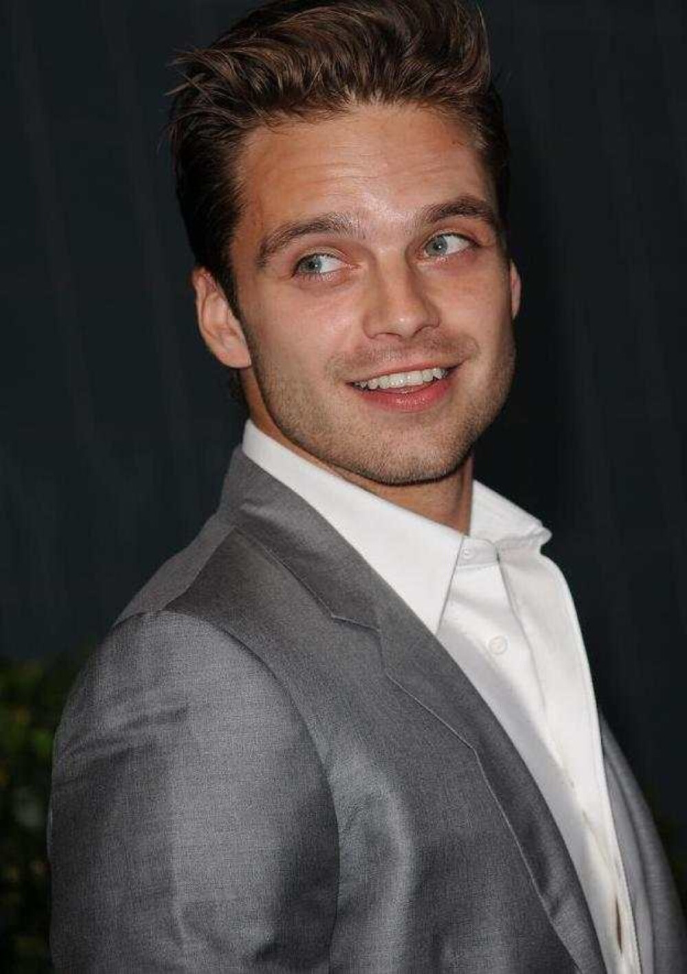 塞巴斯蒂安 斯坦 Sebastian Stan