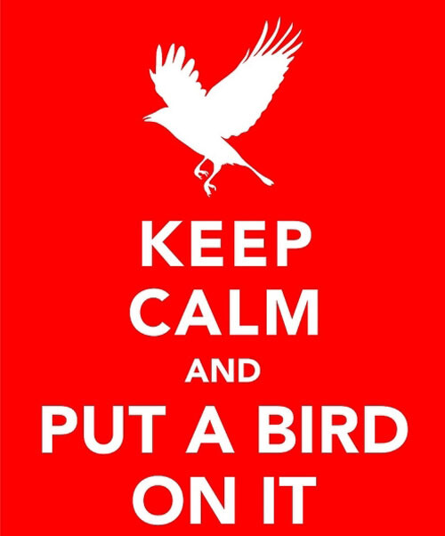 Keep calm and put a bird on it