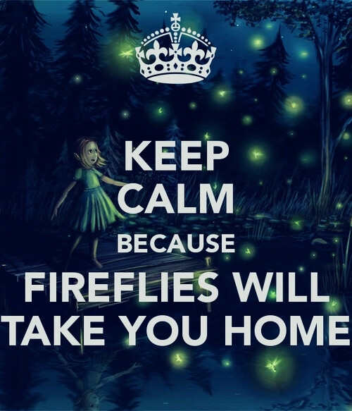 Keep calm because fireflies will take you home