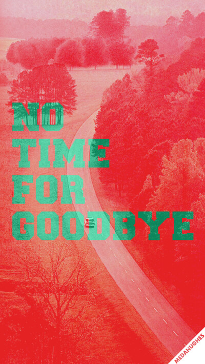 no time for goodbye