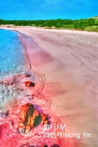 Pink Beach, Sardinia, Italy粉红色海滩，撒丁岛，意大利 更多精彩推荐，尽在---旅行FM http://lvxing.fm/