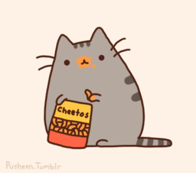  猫猫