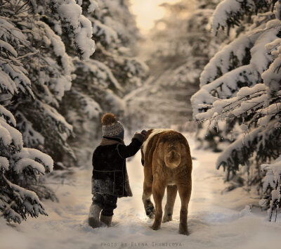  俄罗斯摄影师Elena Shumilova 是一名建筑师，一位妈妈，同时是一个农场主人，在她的镜头下，两个儿子与农场里的各种动物，于互动间呈现出极为漂亮的画面，光影色彩的和谐，小孩与动物的交流，构成一幅幅令人难忘的…