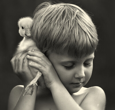 ELENA SHUMILOVA 摄影作品