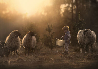 ELENA SHUMILOVA 摄影作品