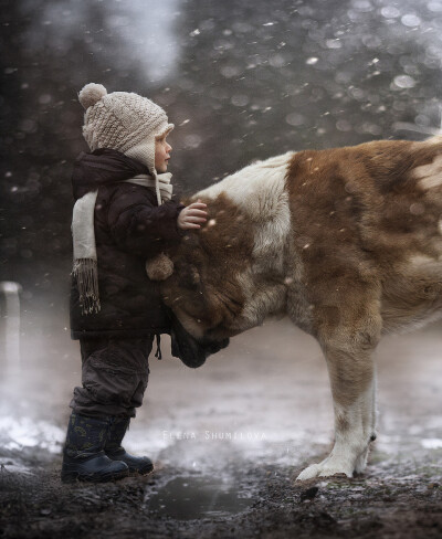 ELENA SHUMILOVA 摄影作品