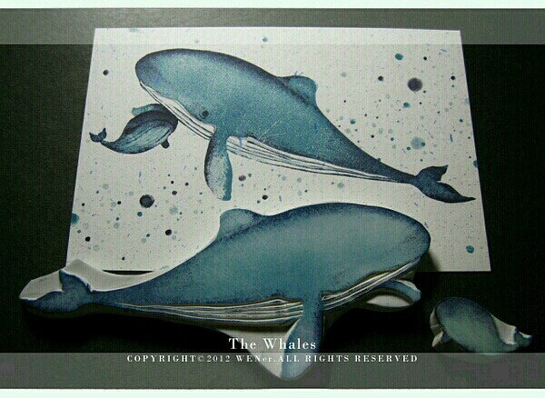 渐变色海洋鲸鱼橡皮章