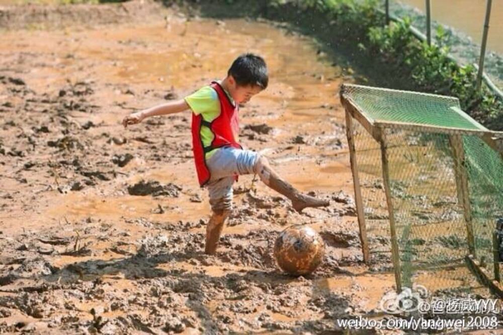 杨阳洋