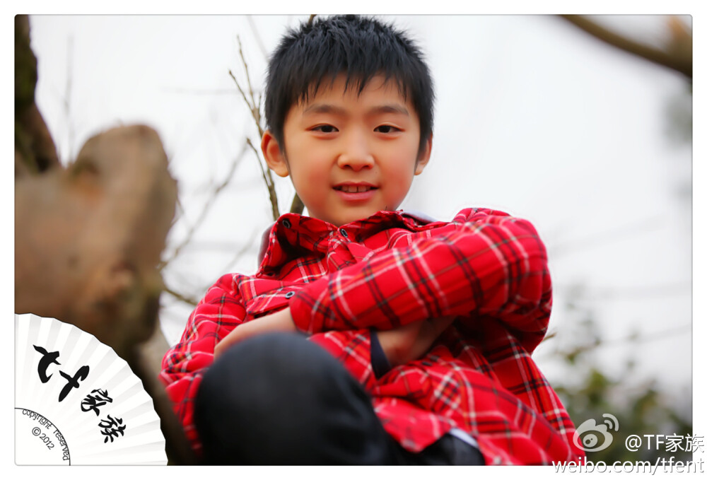 TF家族刘志宏20130222