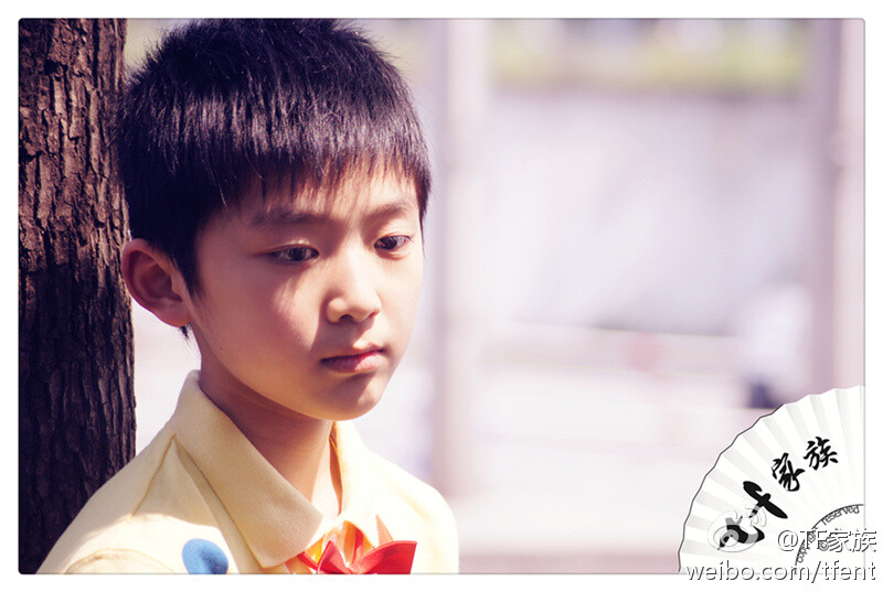 TF家族刘志宏20130418