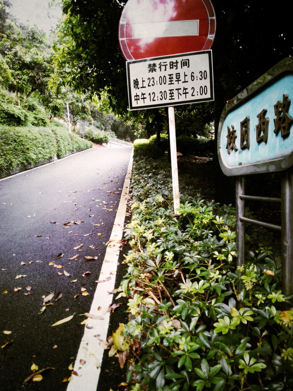 校园西路