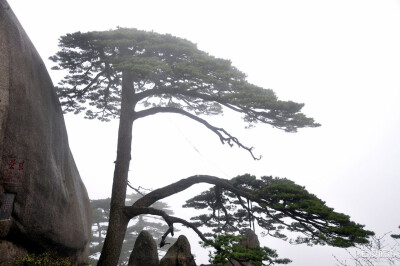 【黄山@安徽省南部】黄山其实不算难爬，就是能不能看到最好的景色要看老天爷赏脸不。