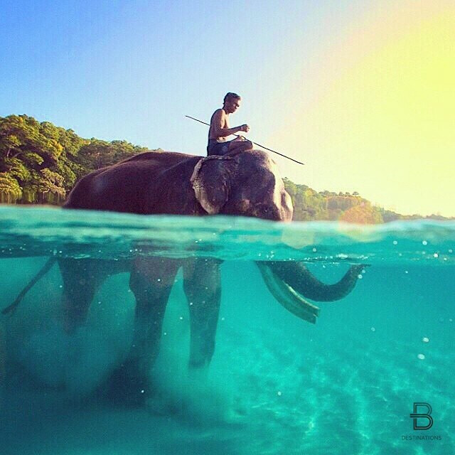 【ins】Location: Andaman Islands, India ✽ Credits: @JODYMACDONALDPHOTO