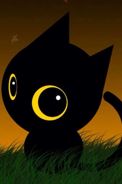 一只小黑猫