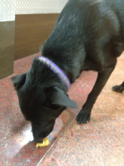 台湾的新朋友 吉米