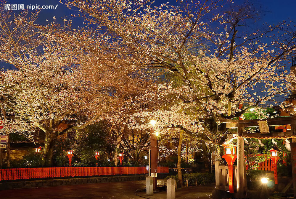 寺庙与樱花