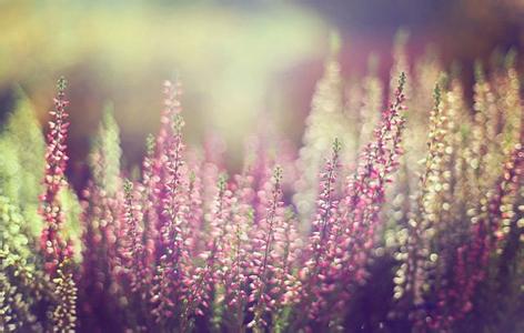 那些年,我们的青春与回忆