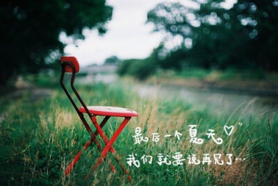 最后一个夏天,我们就要说再见了…