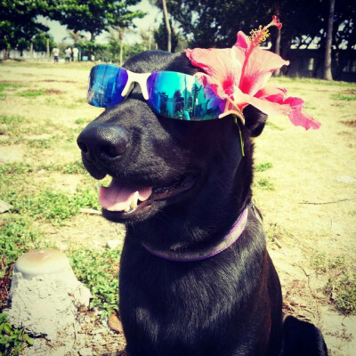 台湾的朋友 吉米xi