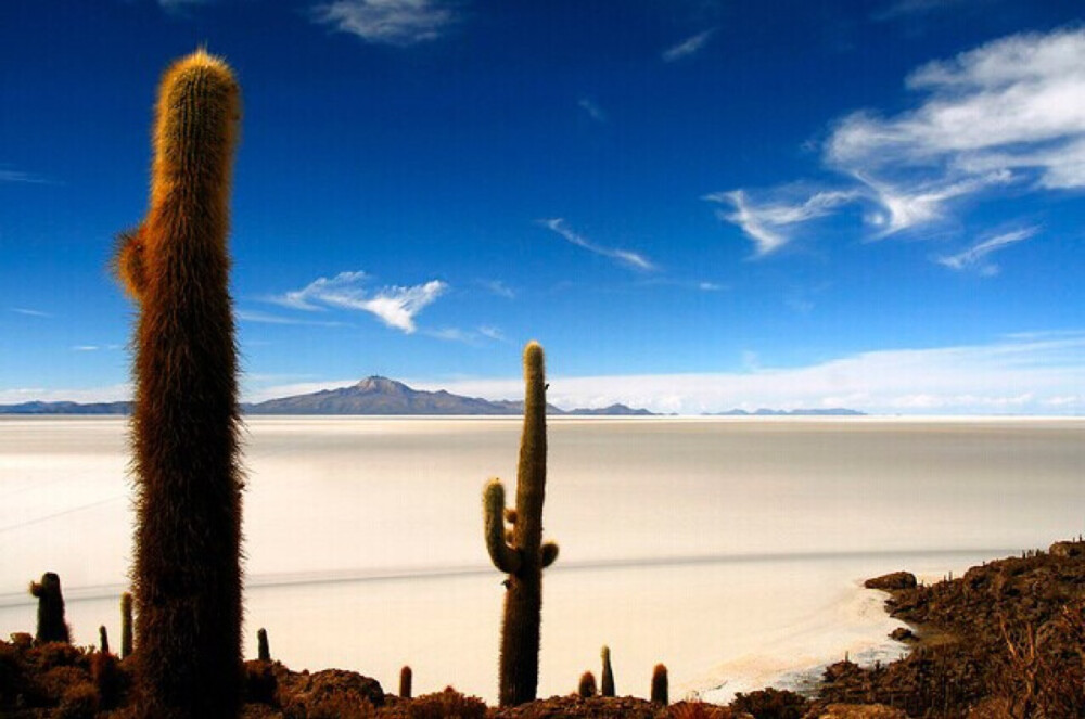 玻利维亚的阿塔卡玛高原The atacama plateau 玻利维亚的阿塔卡玛高原也许是在世界上有着最壮观的景观的地方。壮美、绮丽、神秘，令人印象深刻。这个地区有包括世界上最大的盐沙漠，活火山，高大仙人掌群岛和间歇泉等奇特景观，你来到这里完全不象是在这个地球上旅行，倒像是在魔幻电影中一样。