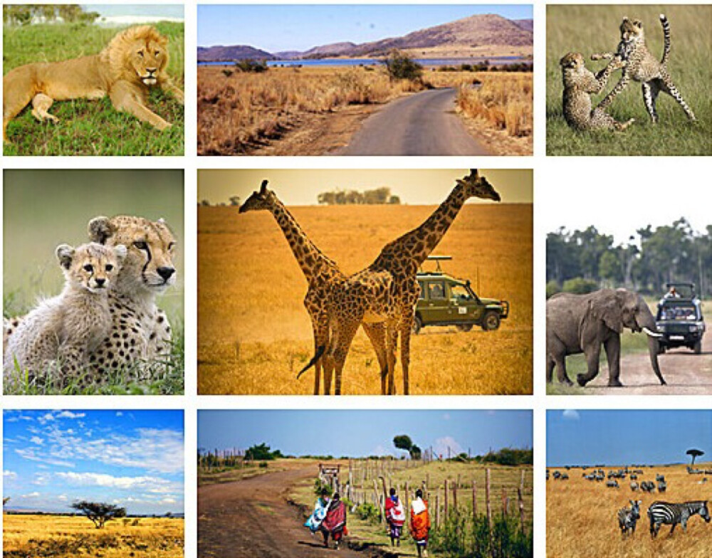 肯尼亚马赛马拉国家野生动物保护区，是非洲最完整的野生动物保护区。在这里追踪动物大迁徙，和狮子打个招呼，与猎豹比赛跑，抚摸大象长颈鹿，与斑马合影，哈哈，在这里各种疯狂举动你都有胆子做出来，因为这里人与动物和谐相处。