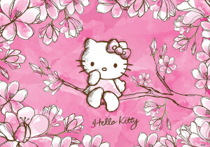 hello kitty ~~