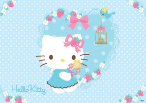 hello kitty ~~