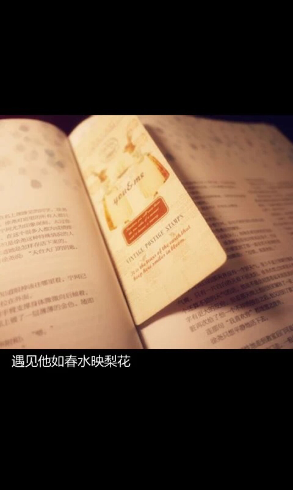 文字美图 黑底白字加美图 高清iPhone壁纸