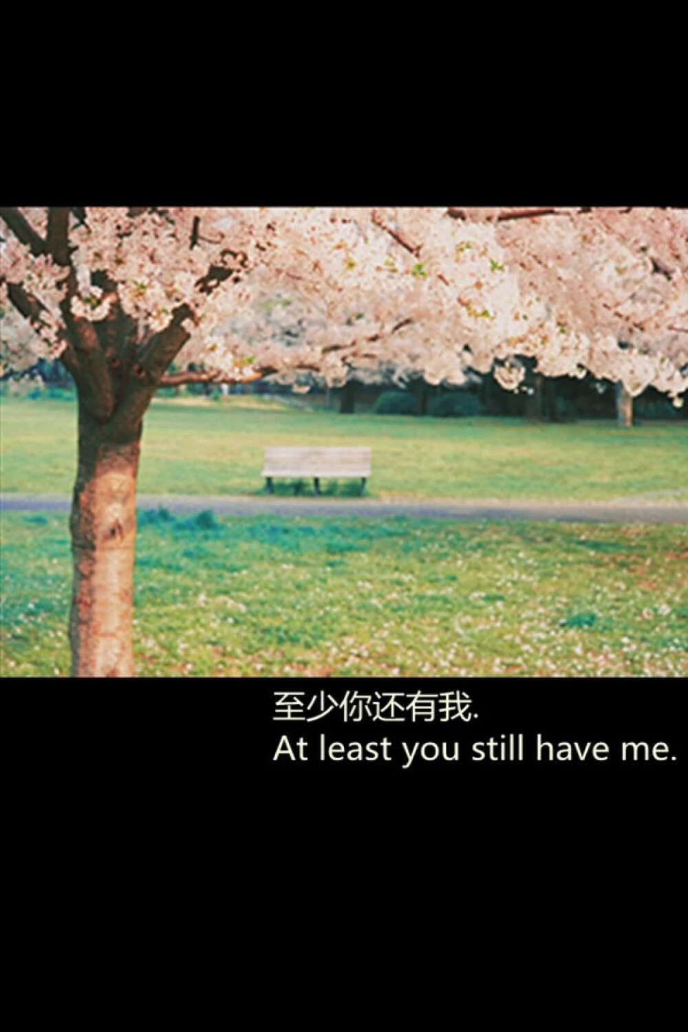 文字美图 黑底白字加美图 高清iPhone壁纸