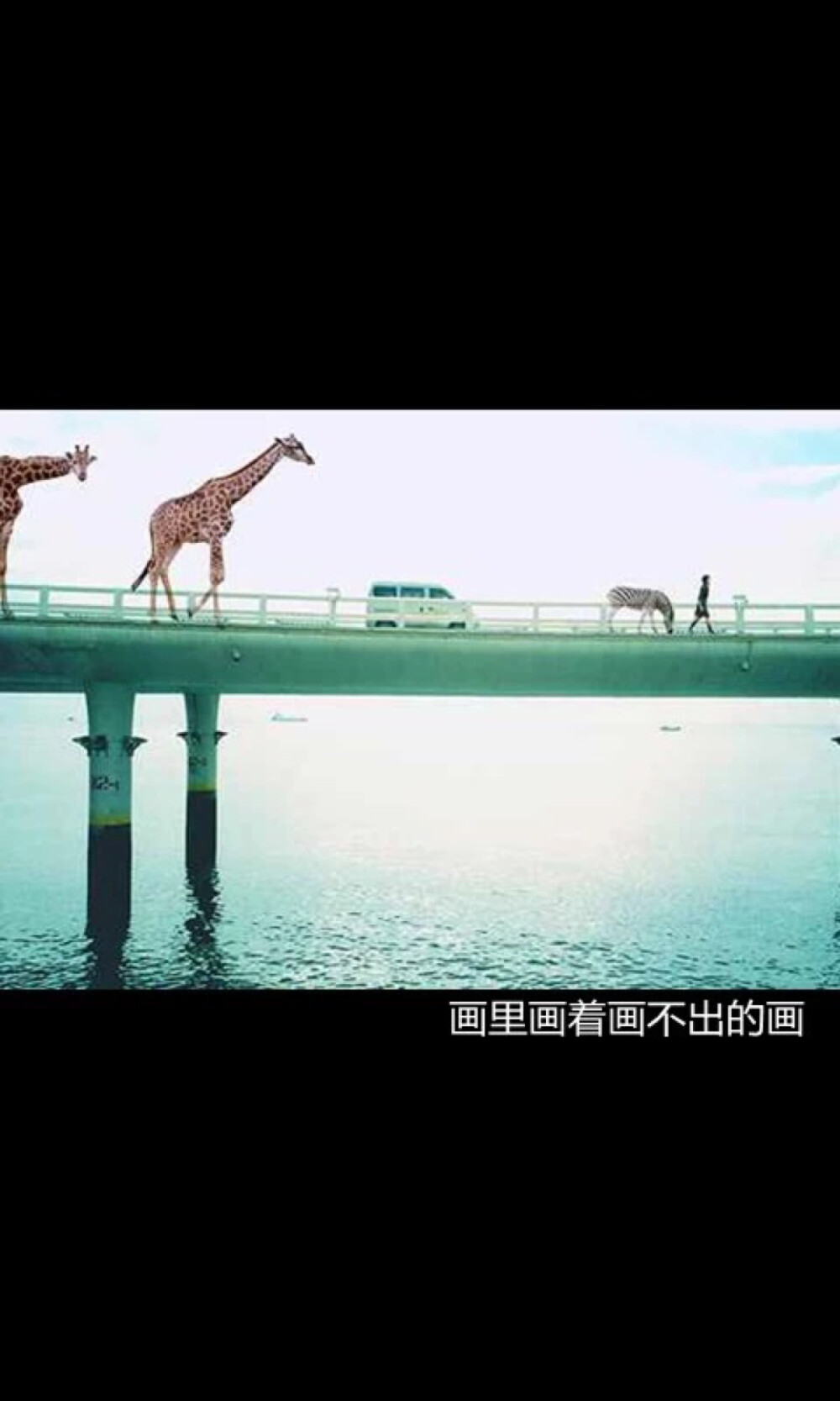 文字美图 黑底白字加美图 高清iPhone壁纸