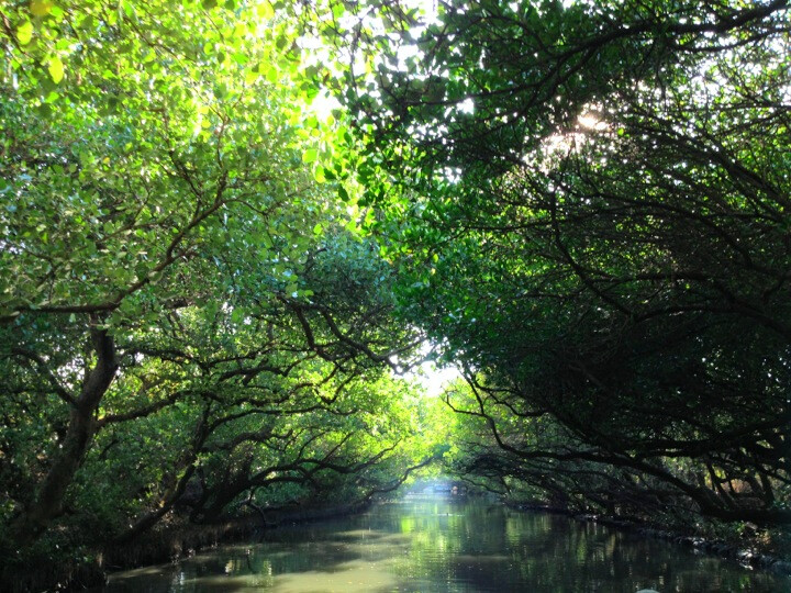 台湾台南四草隧道