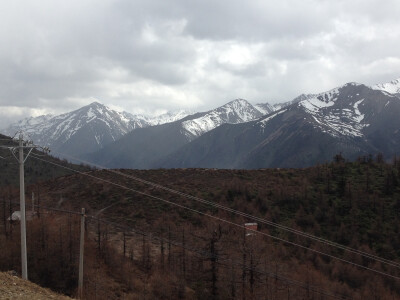 白马雪山