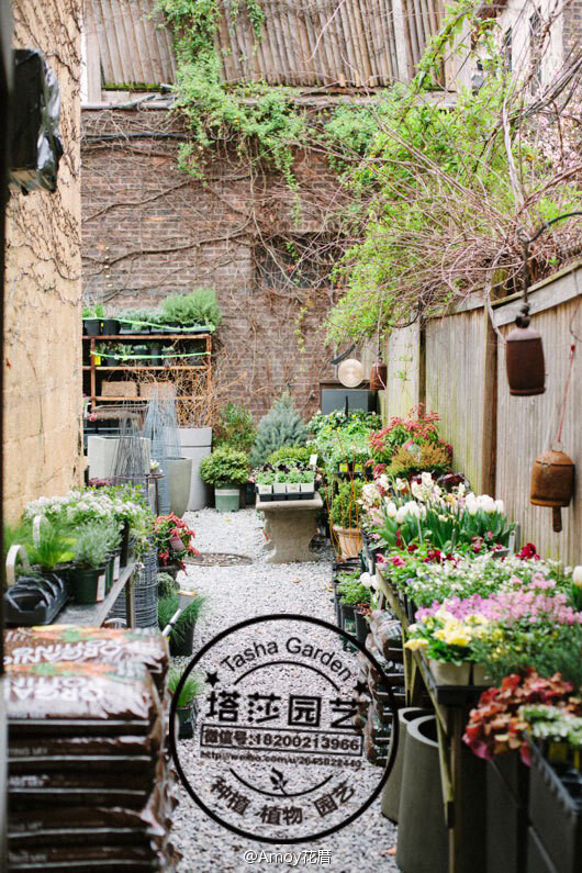 开家花草植物盆栽小店如果是你的梦想，请到塔莎园艺来学习，在这里你可以学习到第一手的植物花草盆栽养护技术。微信手机号：18200213966