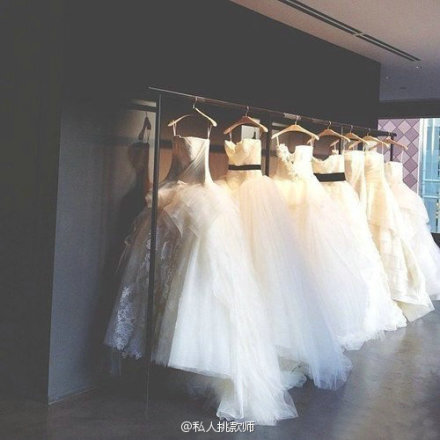 VERA WANG. 女人的梦想