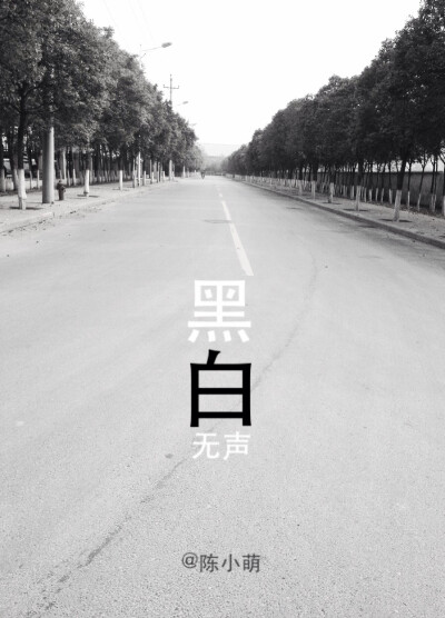 黑白无声