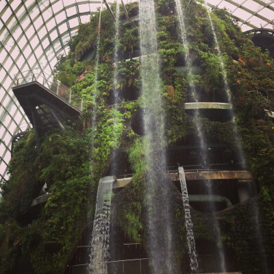 Gardens by the Bay @ Marina Bay Singapore